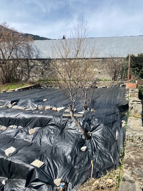 Vegetable Allotment View