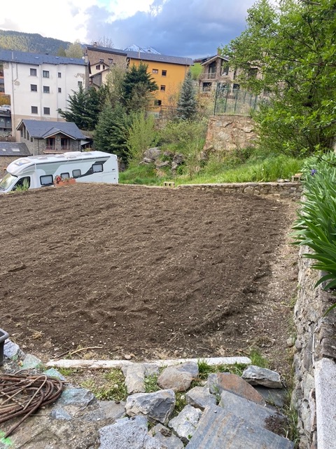 Vegetable Allotment View