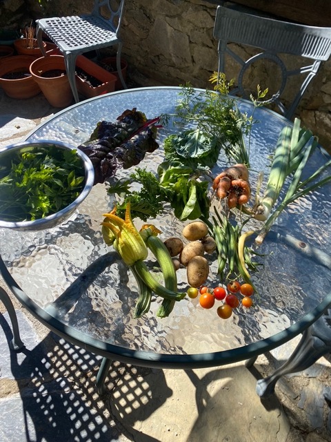 Vegetable Allotment View